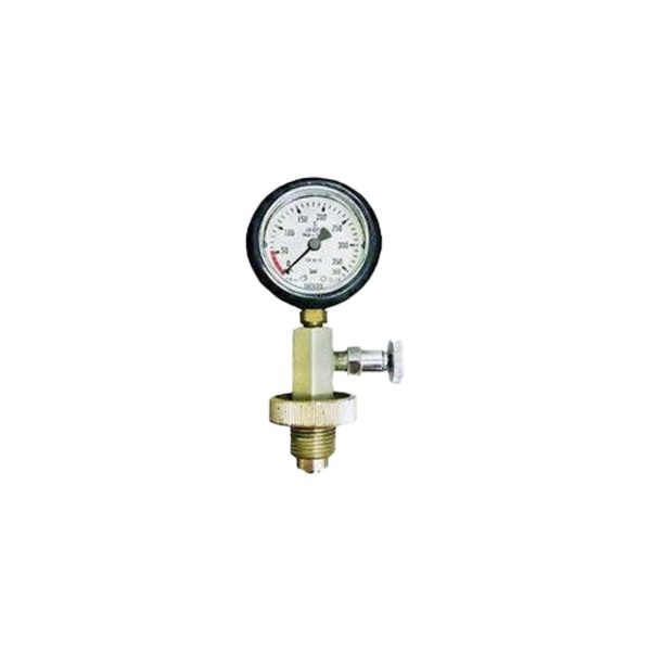 Test Gauge 300 Bar